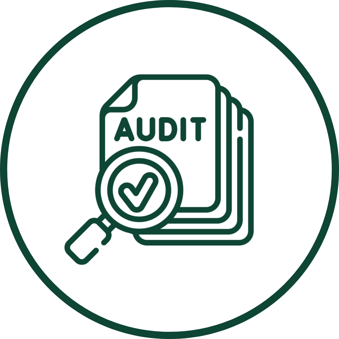 Annual Audit Schedule